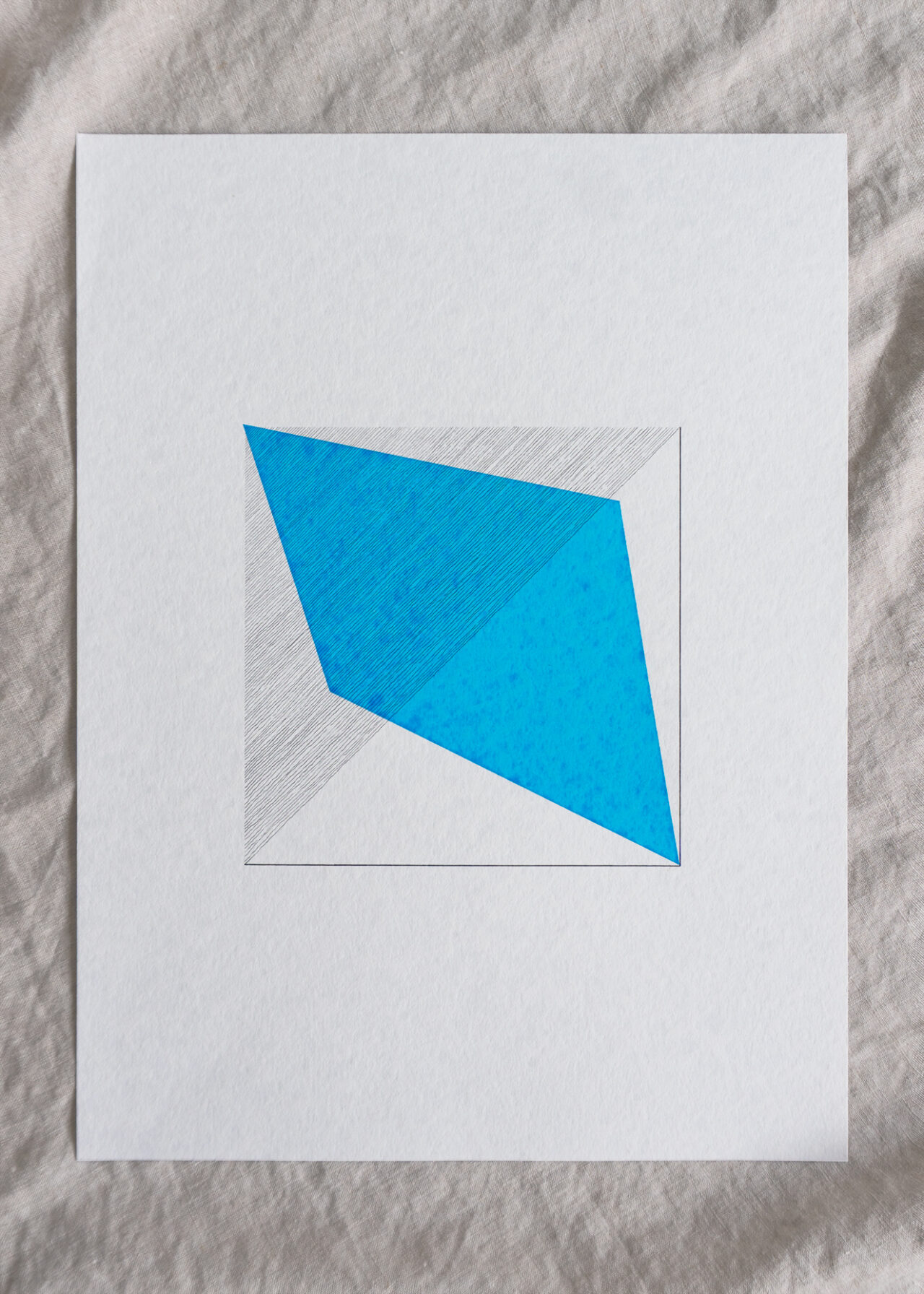 Irina Tehrani Transparency: Reveal